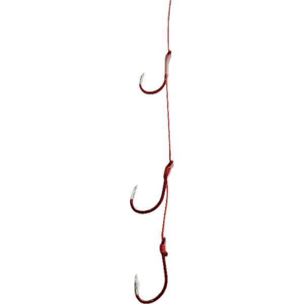 19081